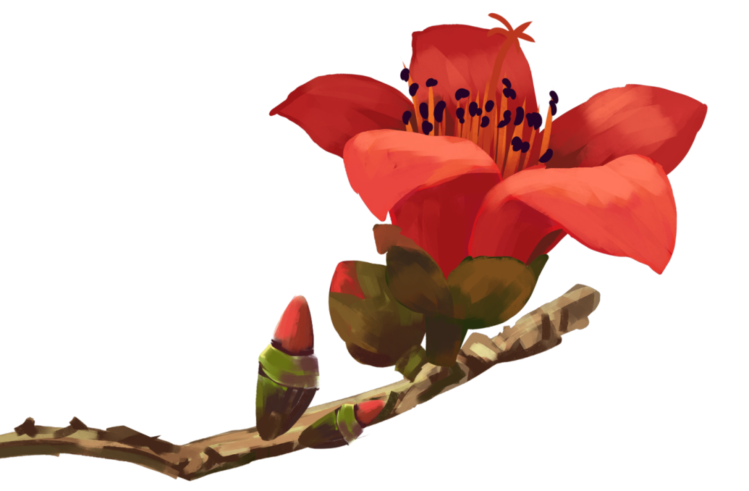 5cc6b366c2c31.png