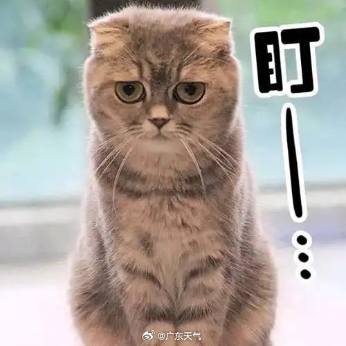 微信图片_20250702165305.png