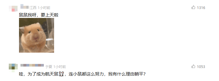 ec522e8b7c63913a752693cca846a179.png