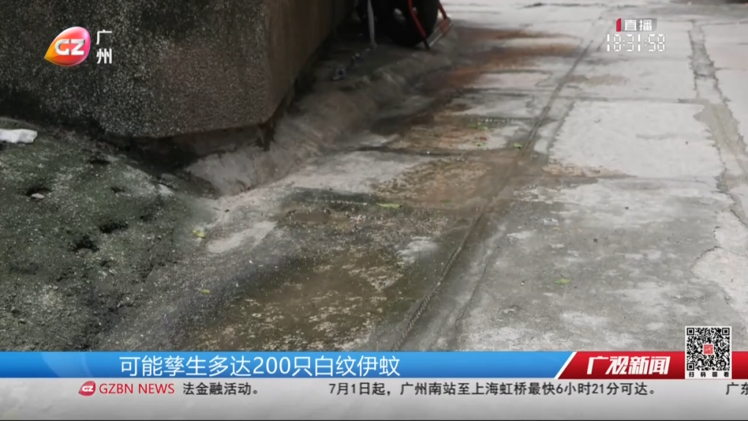 10处积水可孳生200只蚊 及时清理是关[00_01_29][20250622-161451].png