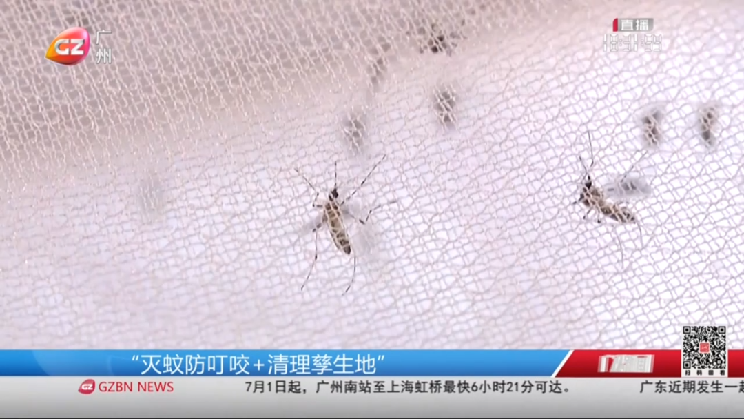 10处积水可孳生200只蚊 及时清理是关[00_01_30][20250622-163126].png