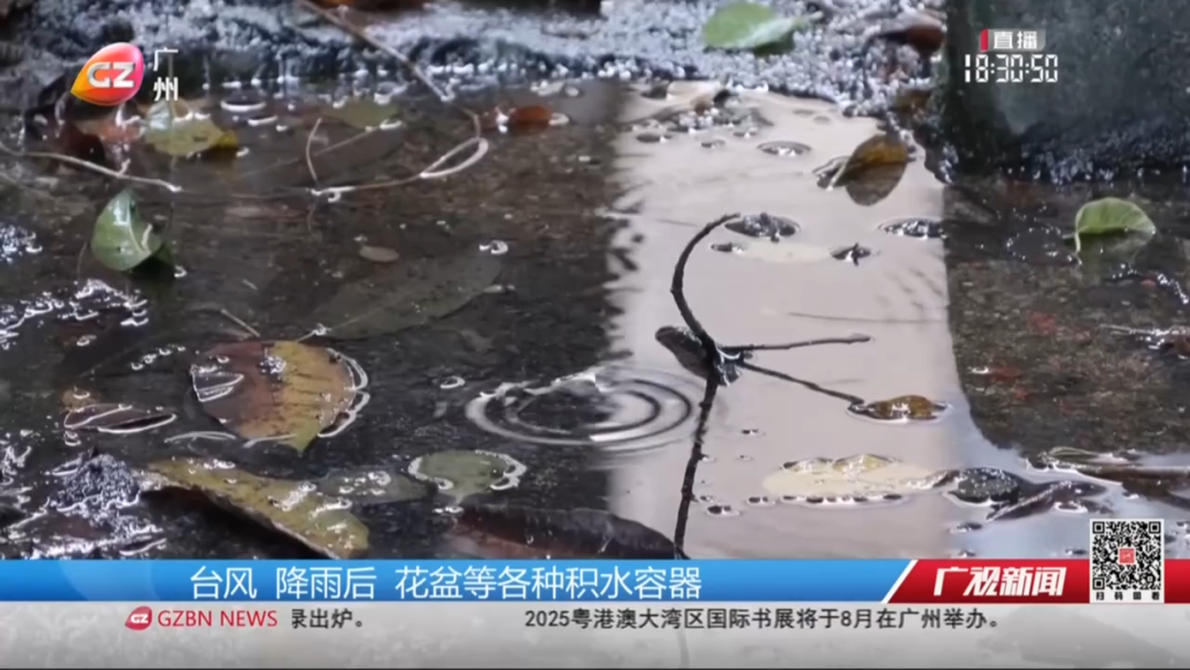 10处积水可孳生200只蚊 及时清理是关[00_00_21][20250622-160256].png