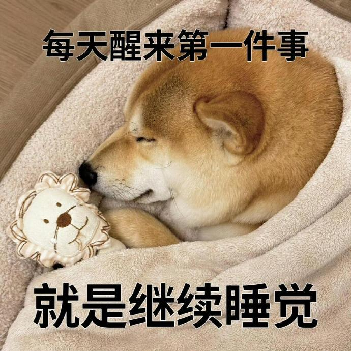 1750329010519.jpg