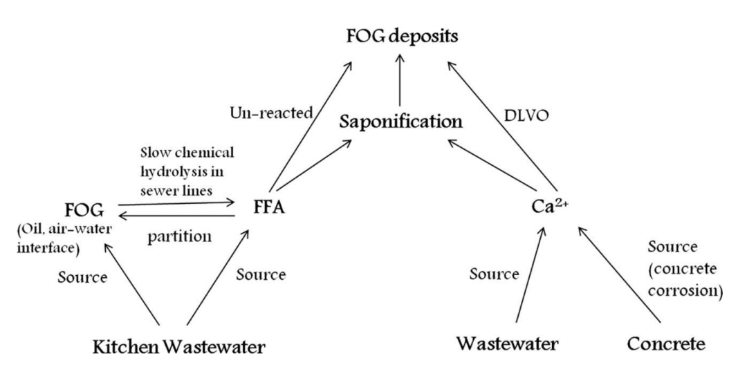 Remotesensing 16 04239 g007