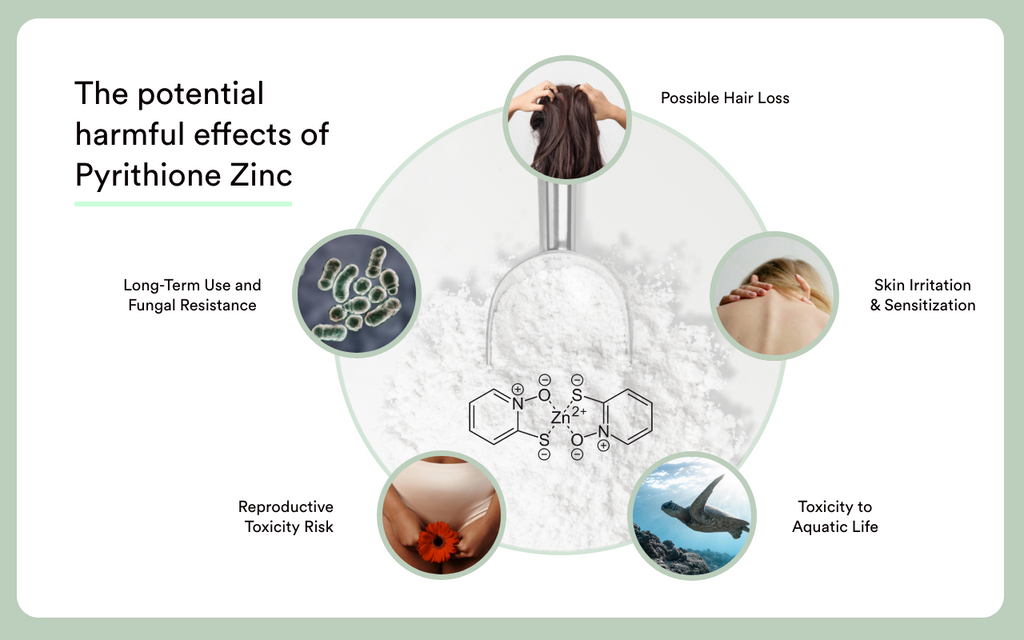 The potential harmful effects of pyrithione zinc in dandruff shampoo
