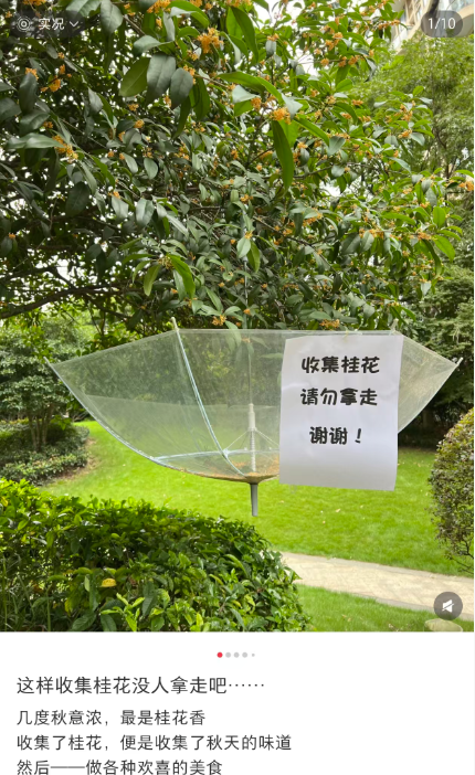 QQ截图20251106120225.png