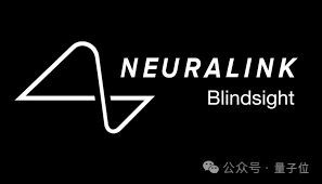 bionic-vision.org | Implants | Neuralink Blindsight