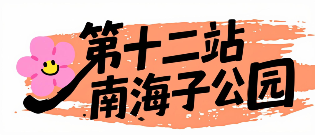 12.png
