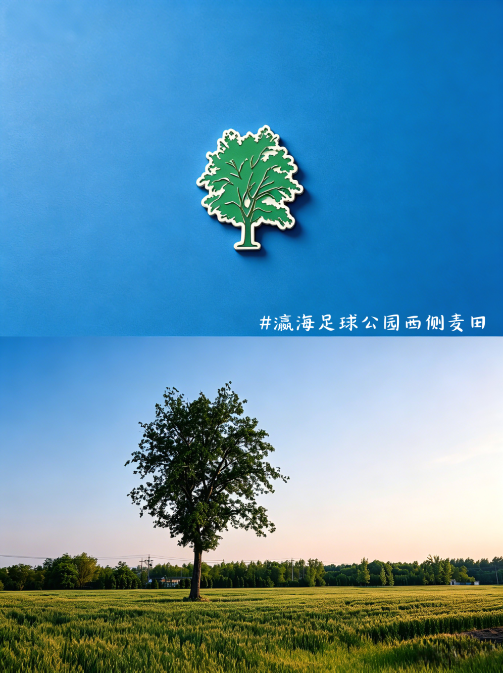 6.png