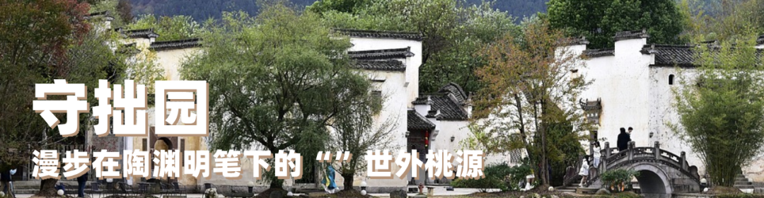 副本_未命名__2025-03-24+17_39_58.png