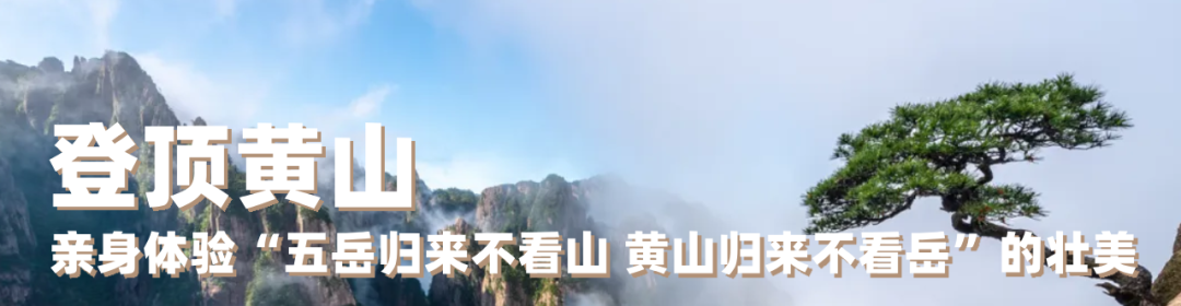 副本_未命名__2025-03-24+17_22_21.png