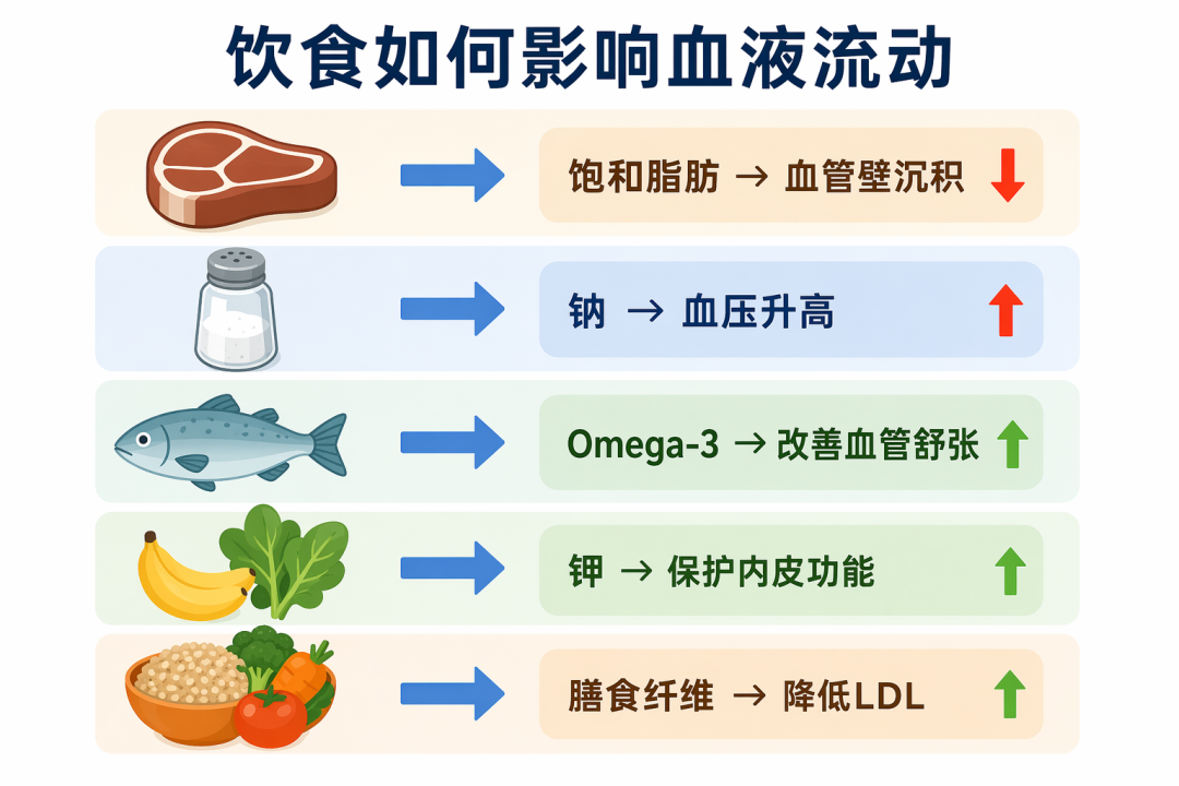 饮食如何影响血液流动
