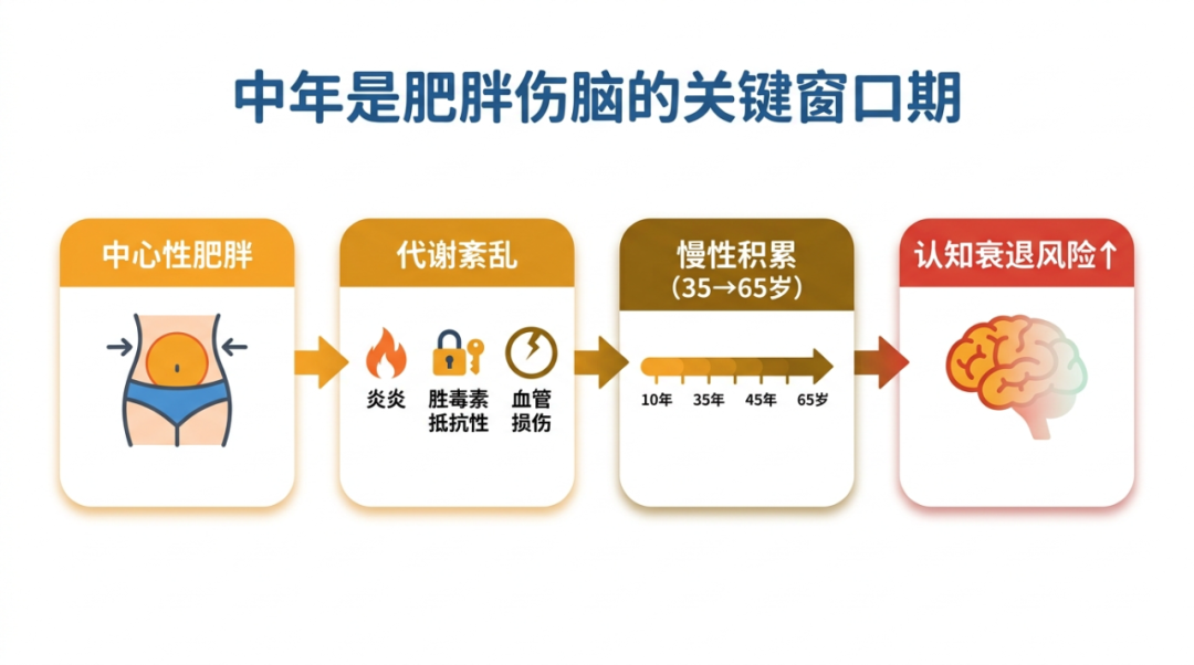 02-flowchart-metabolic-damage.png
