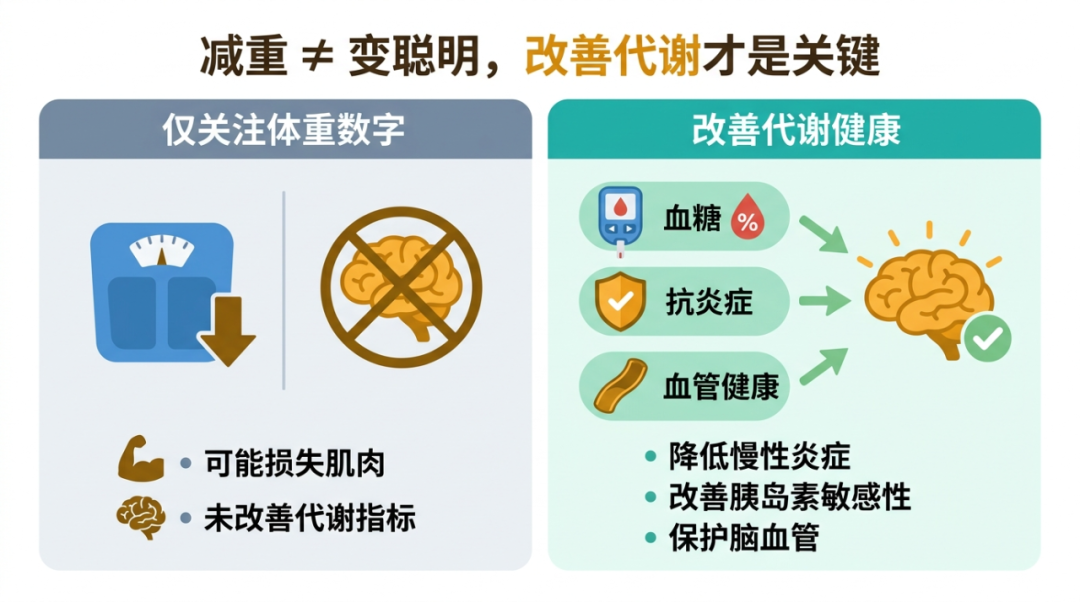 04-infographic-metabolic-vs-weight.png
