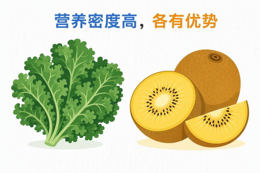 羽衣甘蓝和黄心奇异果 营养对比