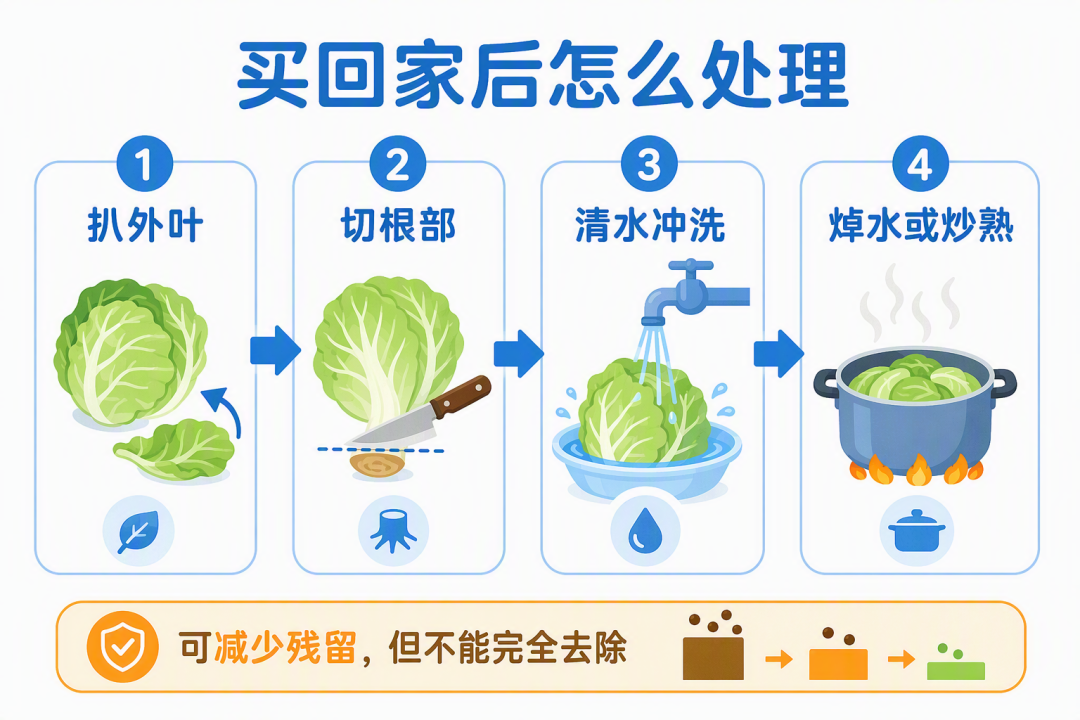 买回家后怎么处理