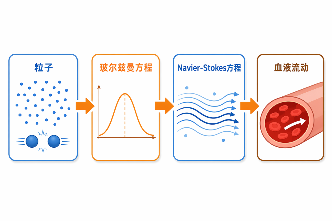 从粒子到血液流动的推导链路