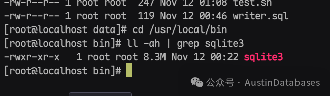 编辑后的SQLite