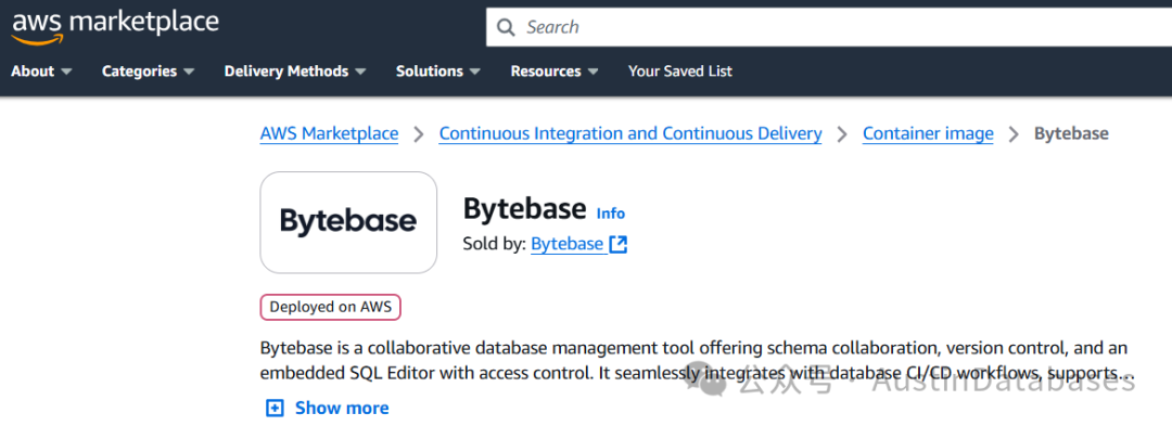bytebase典型的国内种出国外开花的产品