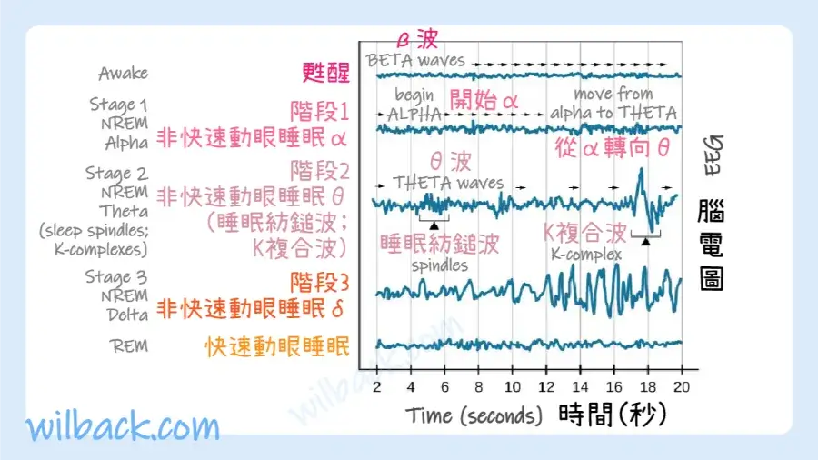 图片5 (1).png
