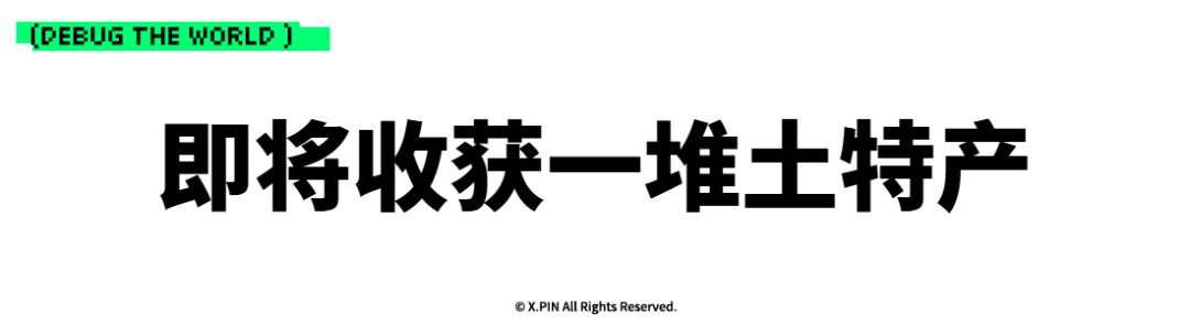 即将收获一堆土特产