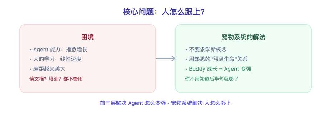 宠物成长
