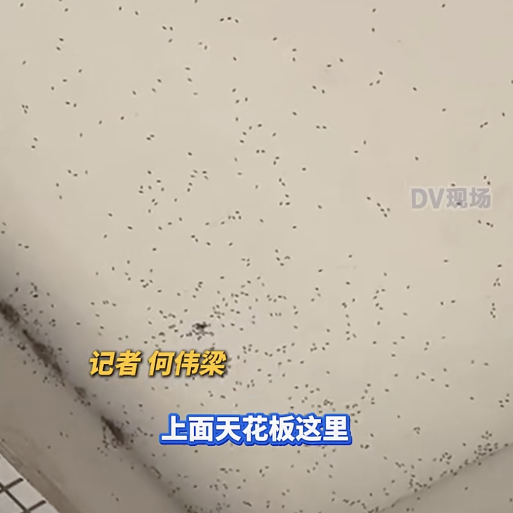 WX20250516-083040@2x.png