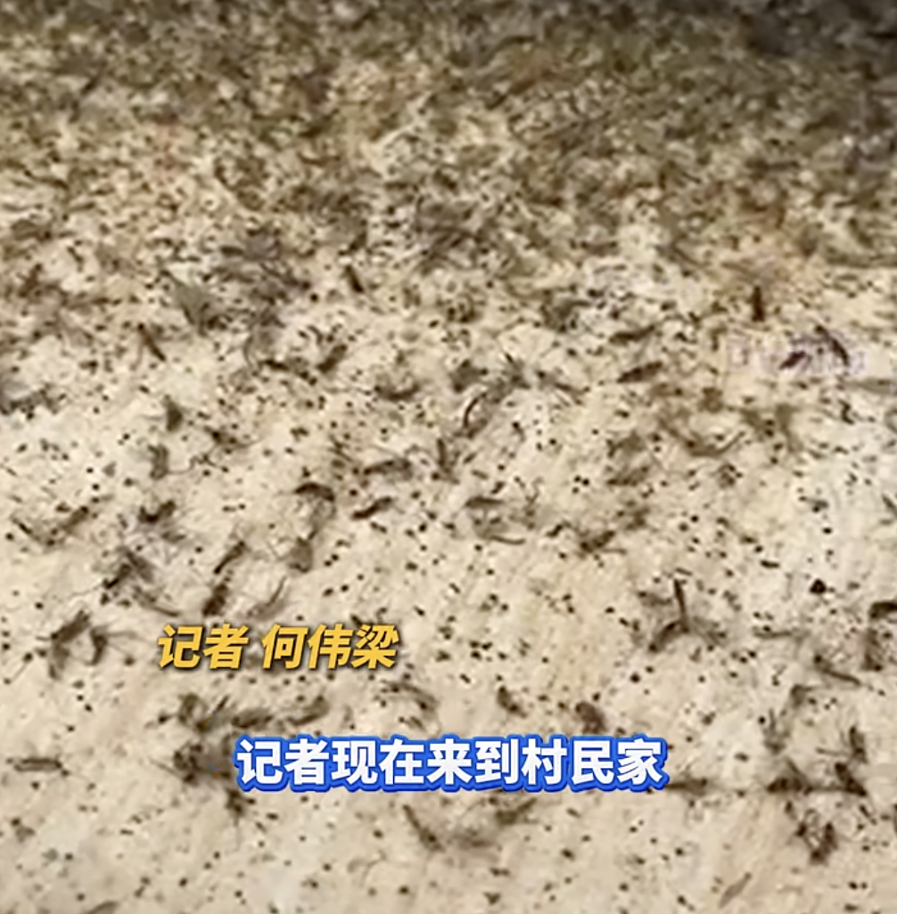 WX20250516-083018@2x.png