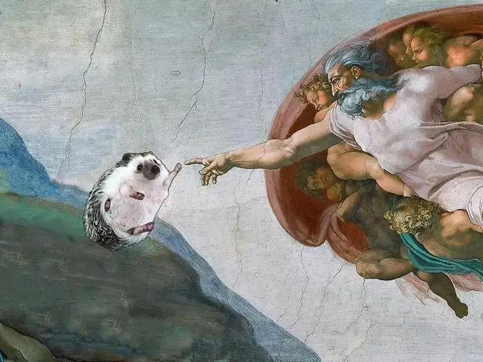 Image