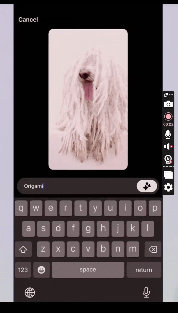 Image