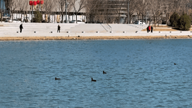 GIF_20260312145524428.GIF