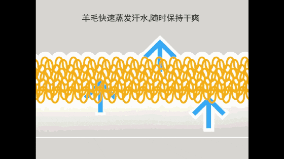 立夏︱纷纷红紫已成尘,布谷声中夏令新