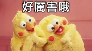 好厲害哦