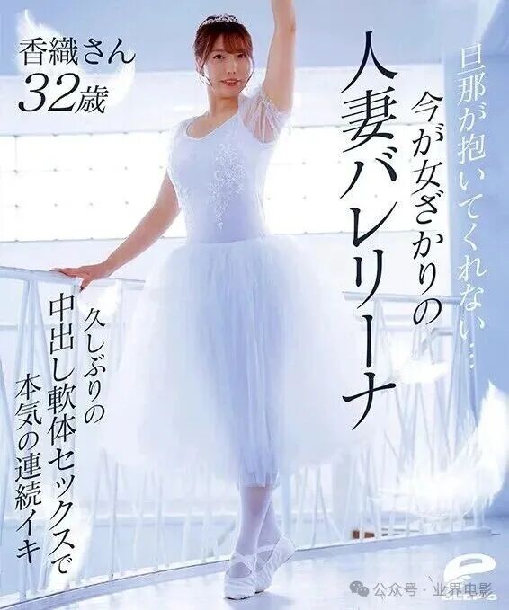 dvmm00385jp-12.jpg