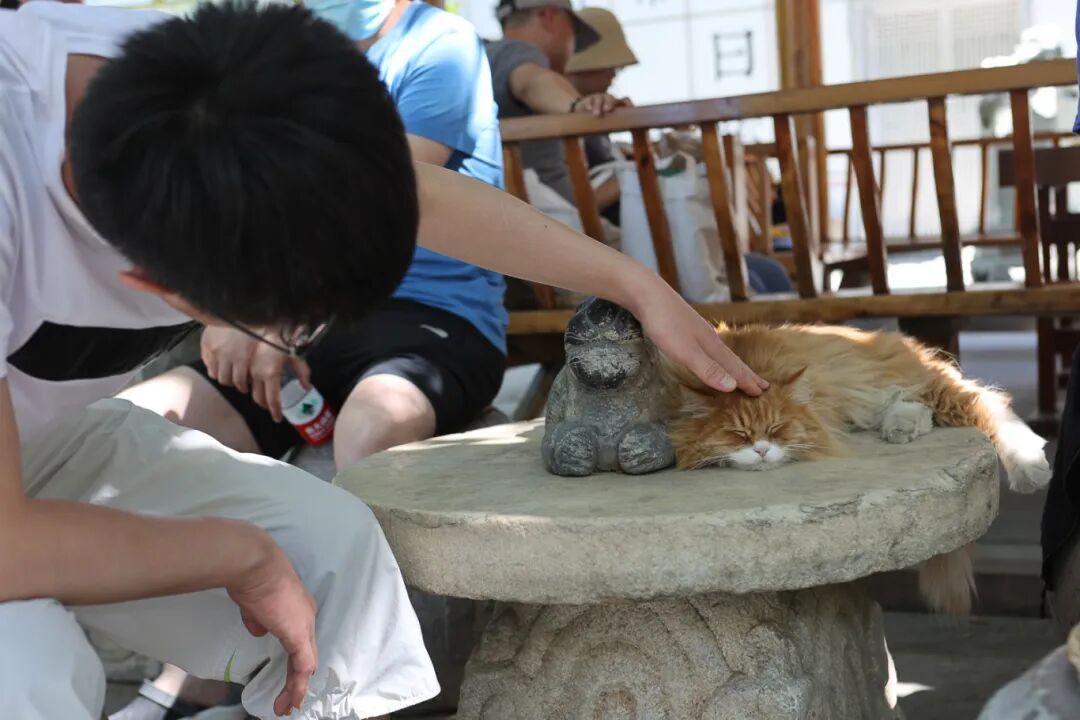 240615非宠勿扰-116.jpg
