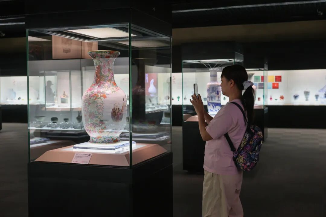 240615非宠勿扰-3.jpg