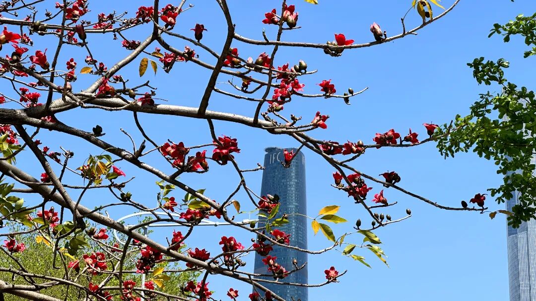 微信图片_20260317151735_839_6.jpg