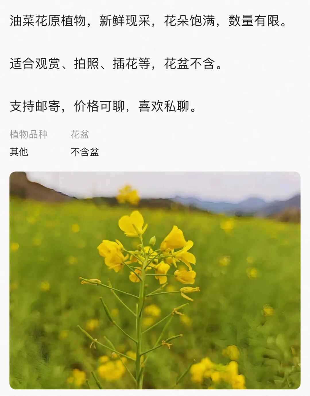微信图片_20260317153303_840_6.jpg