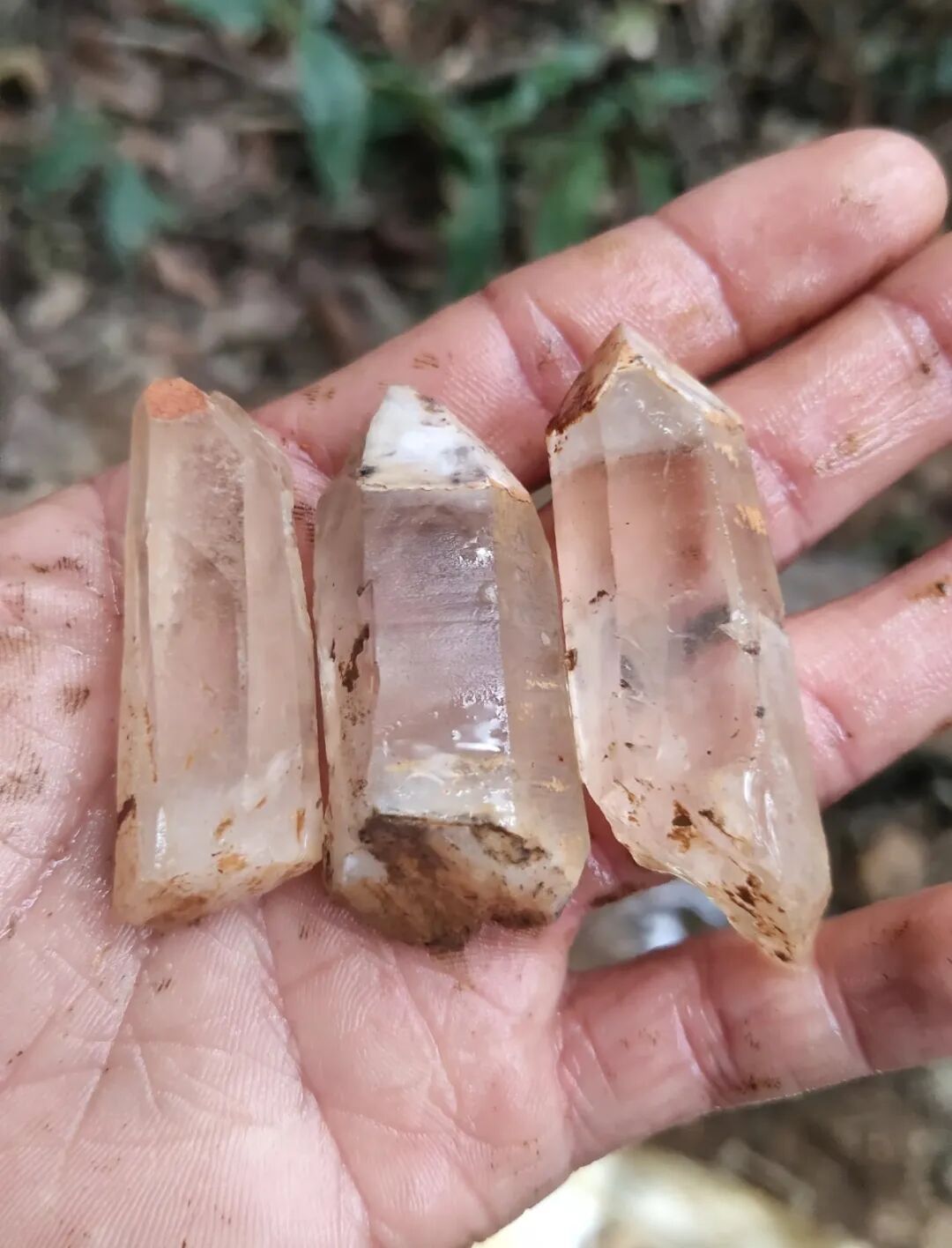 游客挖“水晶”，图片来源于网络2.jpg