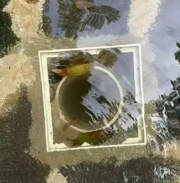 游泳3.jpg