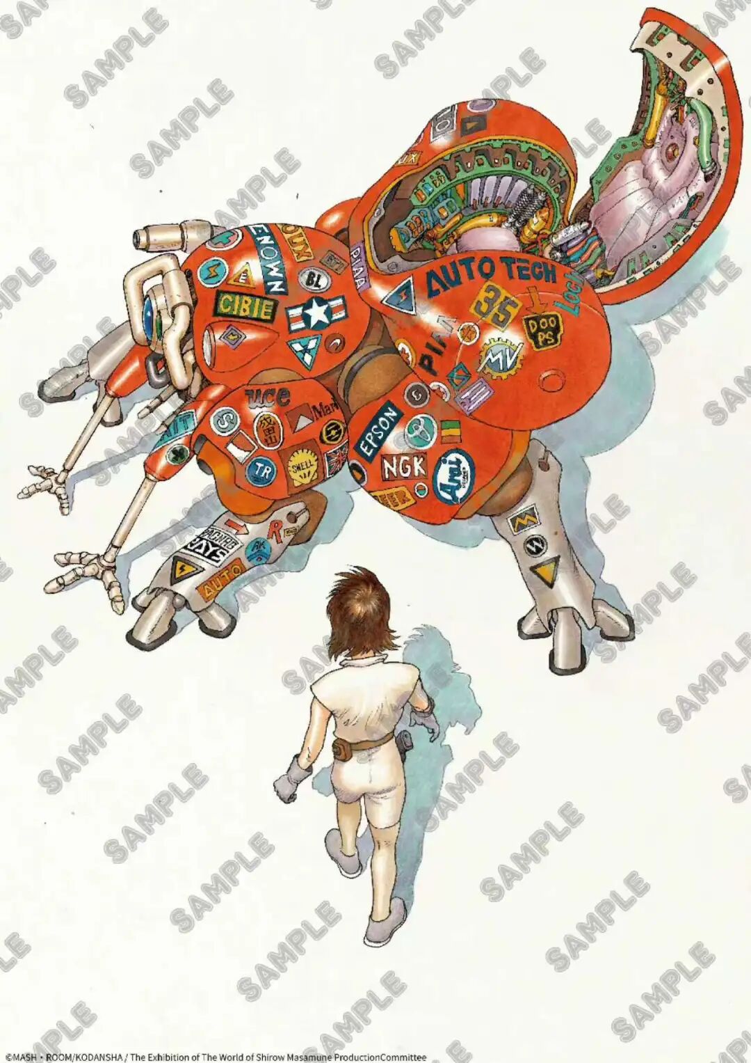 Image