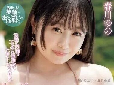 pppe400pl.jpg