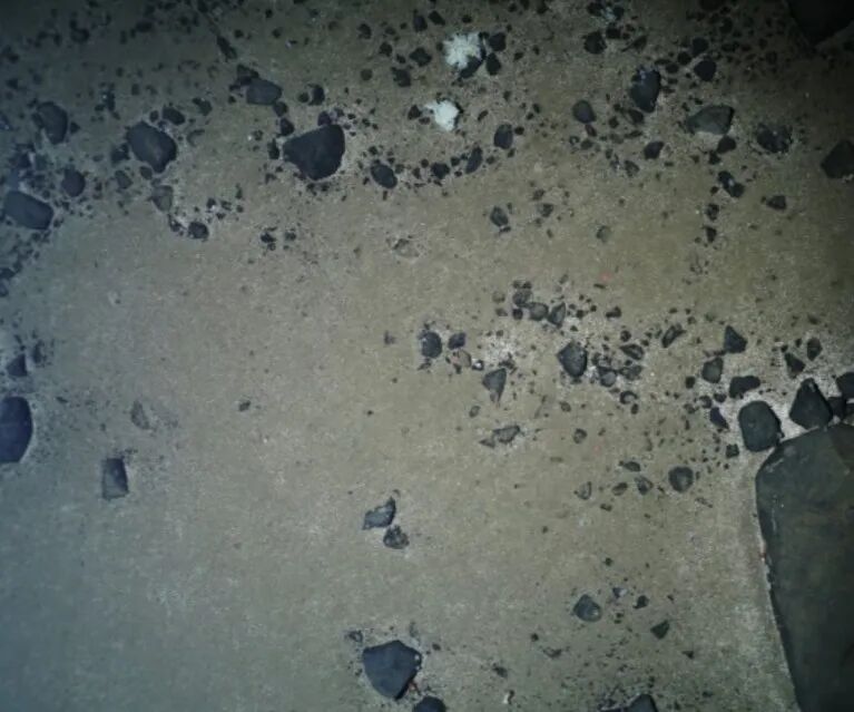 Deep-sea imagery of the seafloor showing dark grey stones of varying sizes