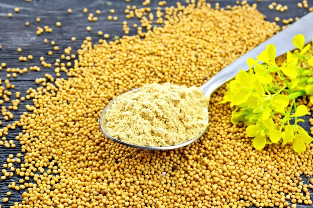 摄图网_303474679_金属勺中的芥末粉子种和黑木板底的花（企业商用）.jpg