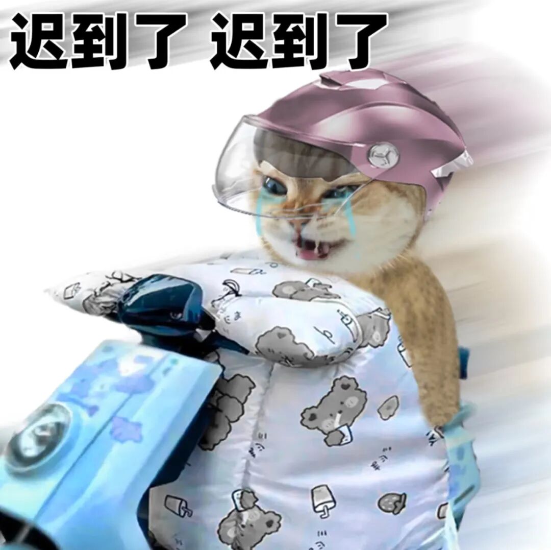 7bf69b0e40be72a6e9b601d0fb6ddbf0.jpg