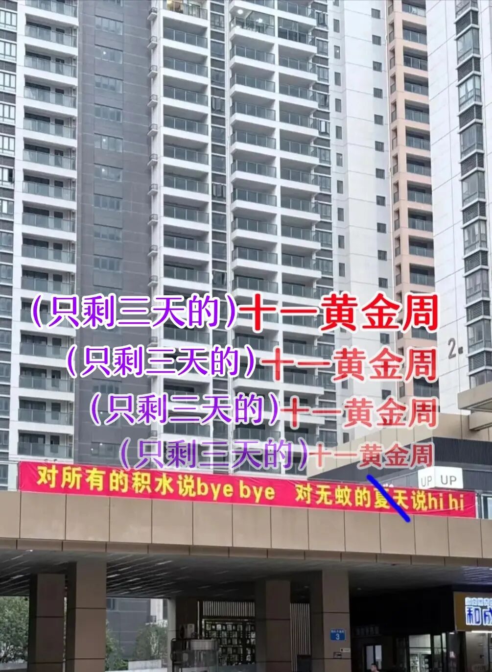 cefc4e17ea17651ba4b1fbc00d817701.jpg