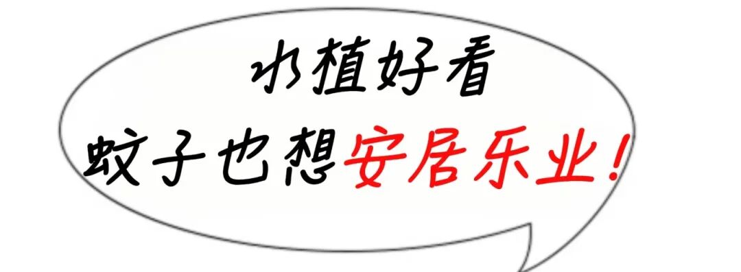 image.png_297599520_20250619103124.jpg