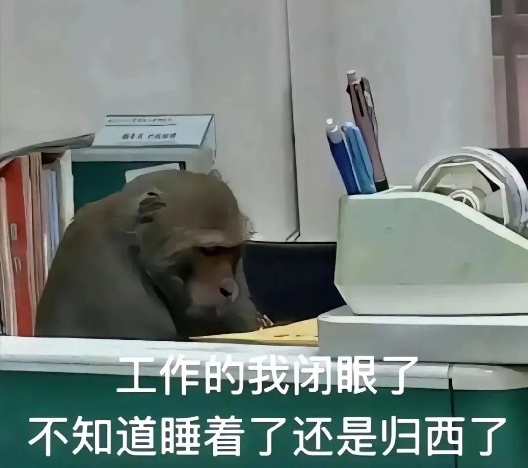 猴子趴在办公桌上，配文“工作的我闭眼了不知道睡着还是归西了” 牛马吗喽表情包| 猴子表情包表情包图片gif动图-