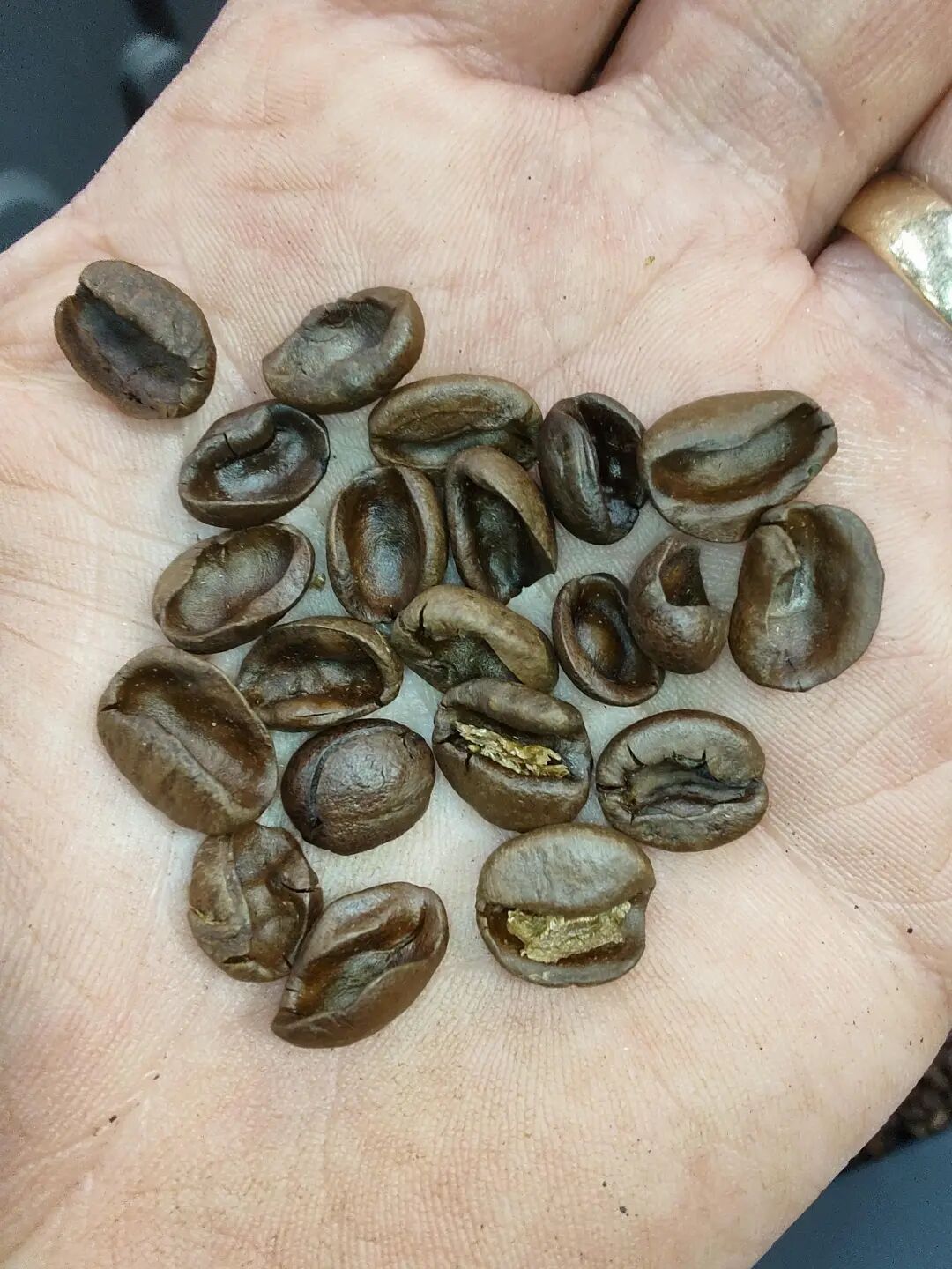 What causes this defect? The coffee, the process or the roast? : r/roasting