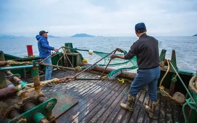 第一次出海捕鱼，海鲜现抓现烧，吃完感觉以前的海鲜都白吃了_手机搜狐网